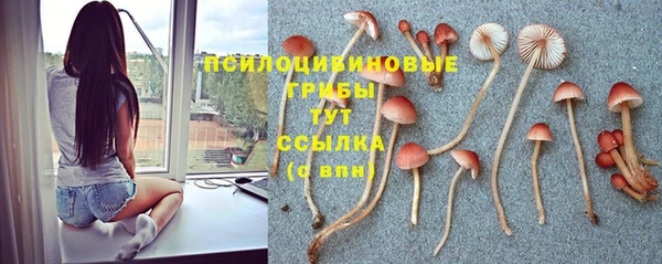 MDMA Аркадак