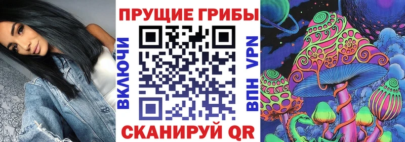 Псилоцибиновые грибы Cubensis  Собинка 